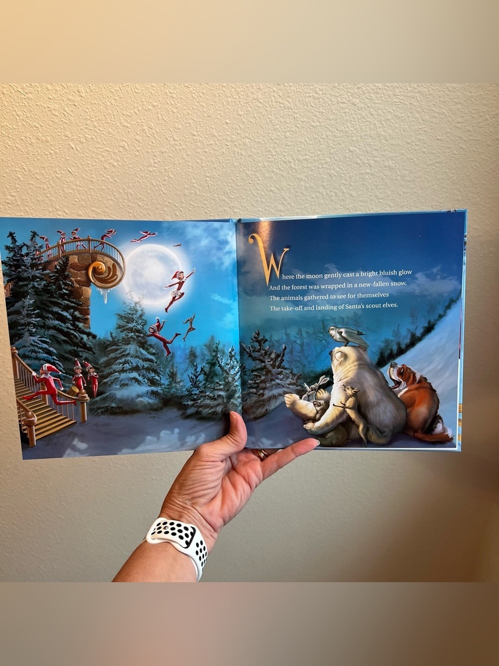 Elf on the Shelf Elf Pets A Reindeer Tradition Hardcover Holiday Storybook - Picture 3 of 4